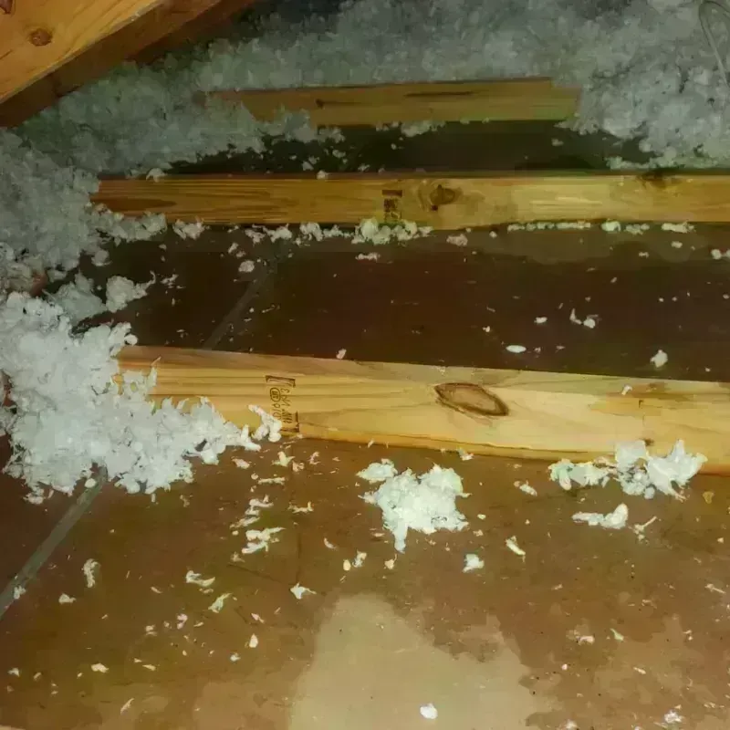 Attic Water Damage in Rosedale, CA